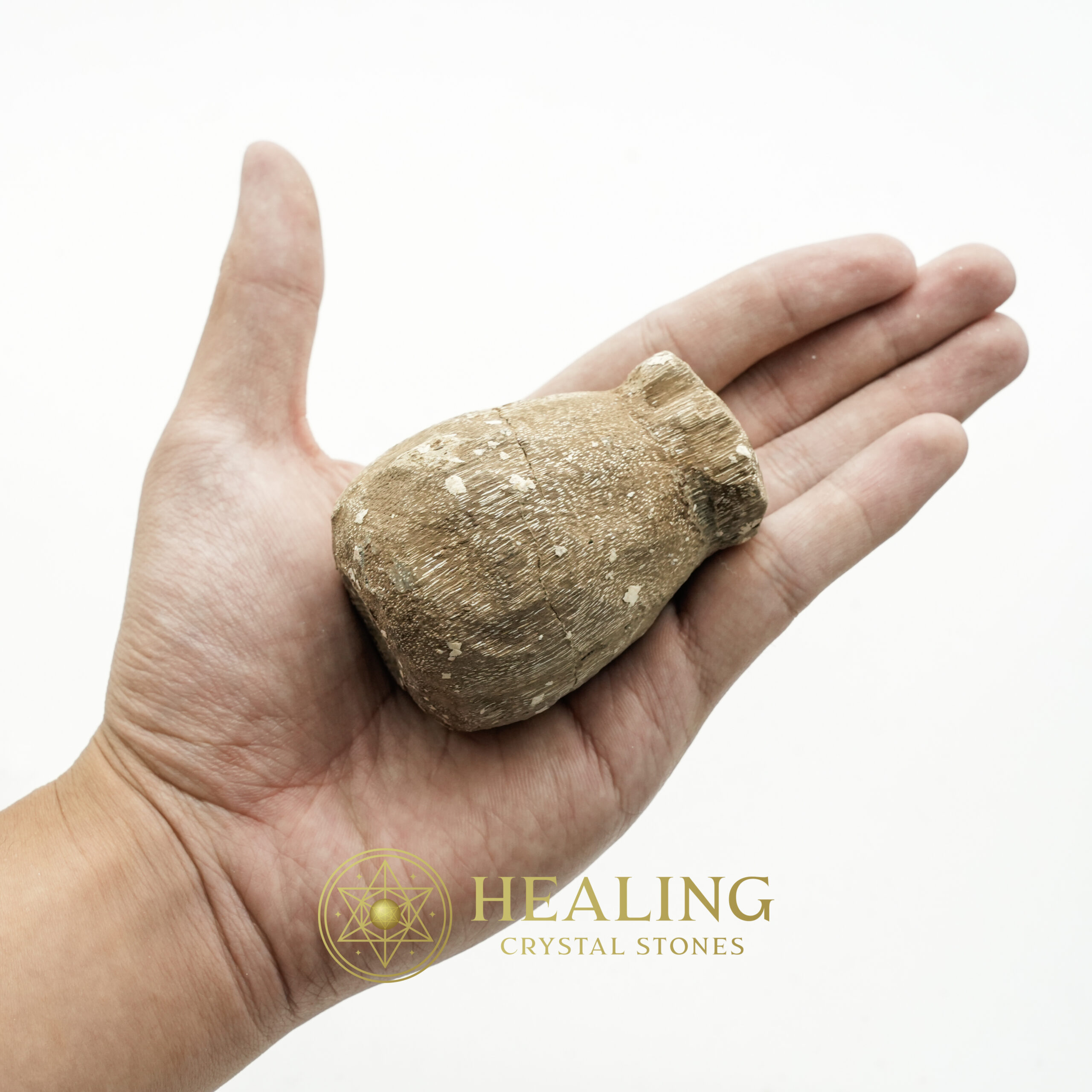 Kelor Sap Fossil - Type A2 - Healing Crystals, Crystal Stones Mustika Pearls Mustika Stones Talismanic Stones Amulet Stones Healing Stones Spiritual Crystals Crystals Talismans Stones Talisman Crystals Amulet stones mystical shaman shamanic spiritual spiritualism metaphysics occult psychic