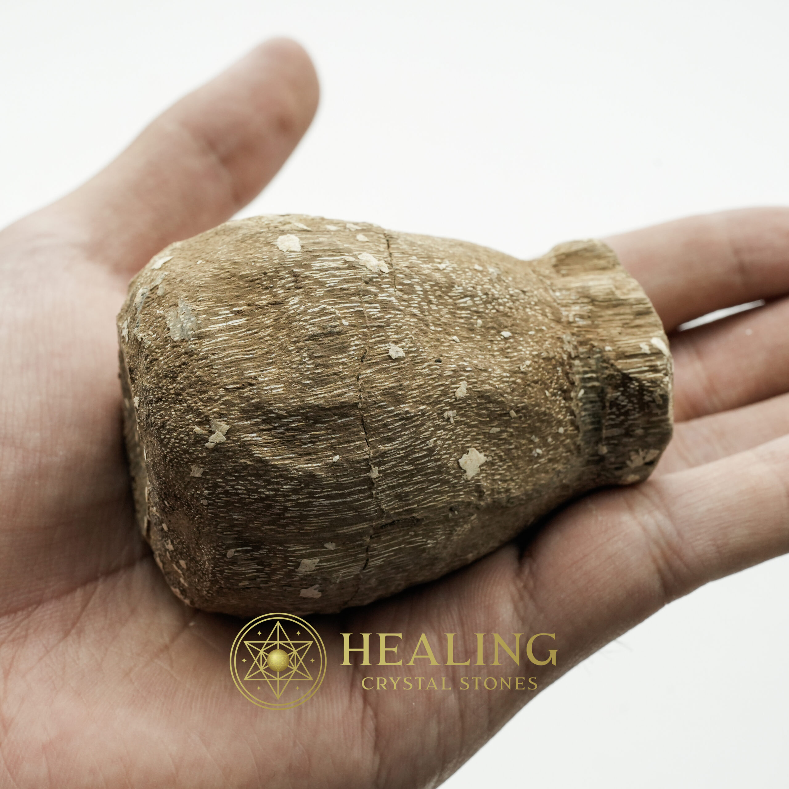 Kelor Sap Fossil - Type A2 - Healing Crystals, Crystal Stones Mustika Pearls Mustika Stones Talismanic Stones Amulet Stones Healing Stones Spiritual Crystals Crystals Talismans Stones Talisman Crystals Amulet stones mystical shaman shamanic spiritual spiritualism metaphysics occult psychic