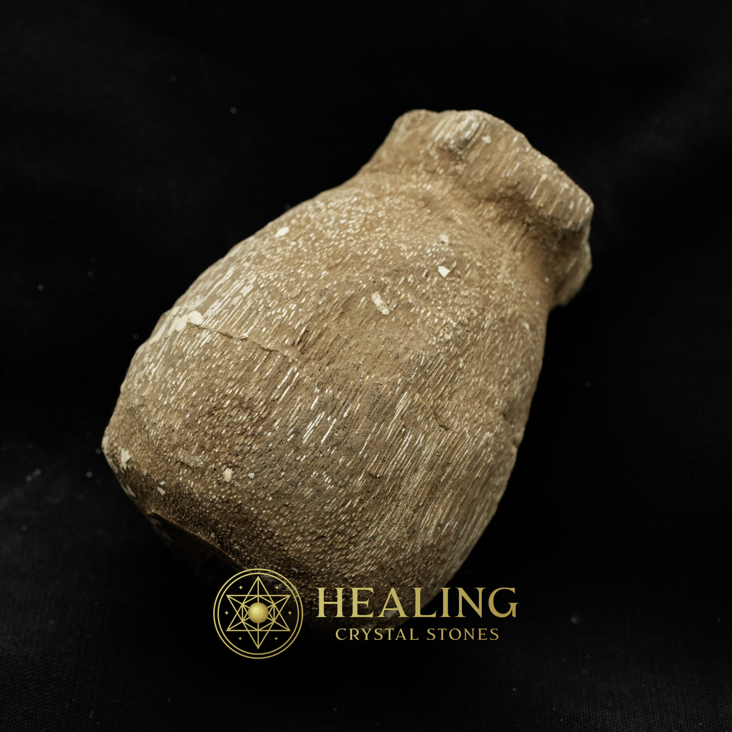 Kelor Sap Fossil - Type A2 - Healing Crystals, Crystal Stones Mustika Pearls Mustika Stones Talismanic Stones Amulet Stones Healing Stones Spiritual Crystals Crystals Talismans Stones Talisman Crystals Amulet stones mystical shaman shamanic spiritual spiritualism metaphysics occult psychic