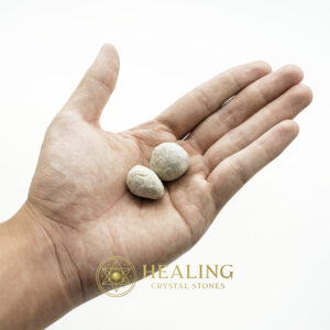 Nagasari Tree Seed Fossil - Type A1 - Healing Crystals, Crystal Stones Mustika Pearls Mustika Stones Talismanic Stones Amulet Stones Healing Stones Spiritual Crystals Crystals Talismans Stones Talisman Crystals Amulet stones mystical shaman shamanic spiritual spiritualism metaphysics occult psychic