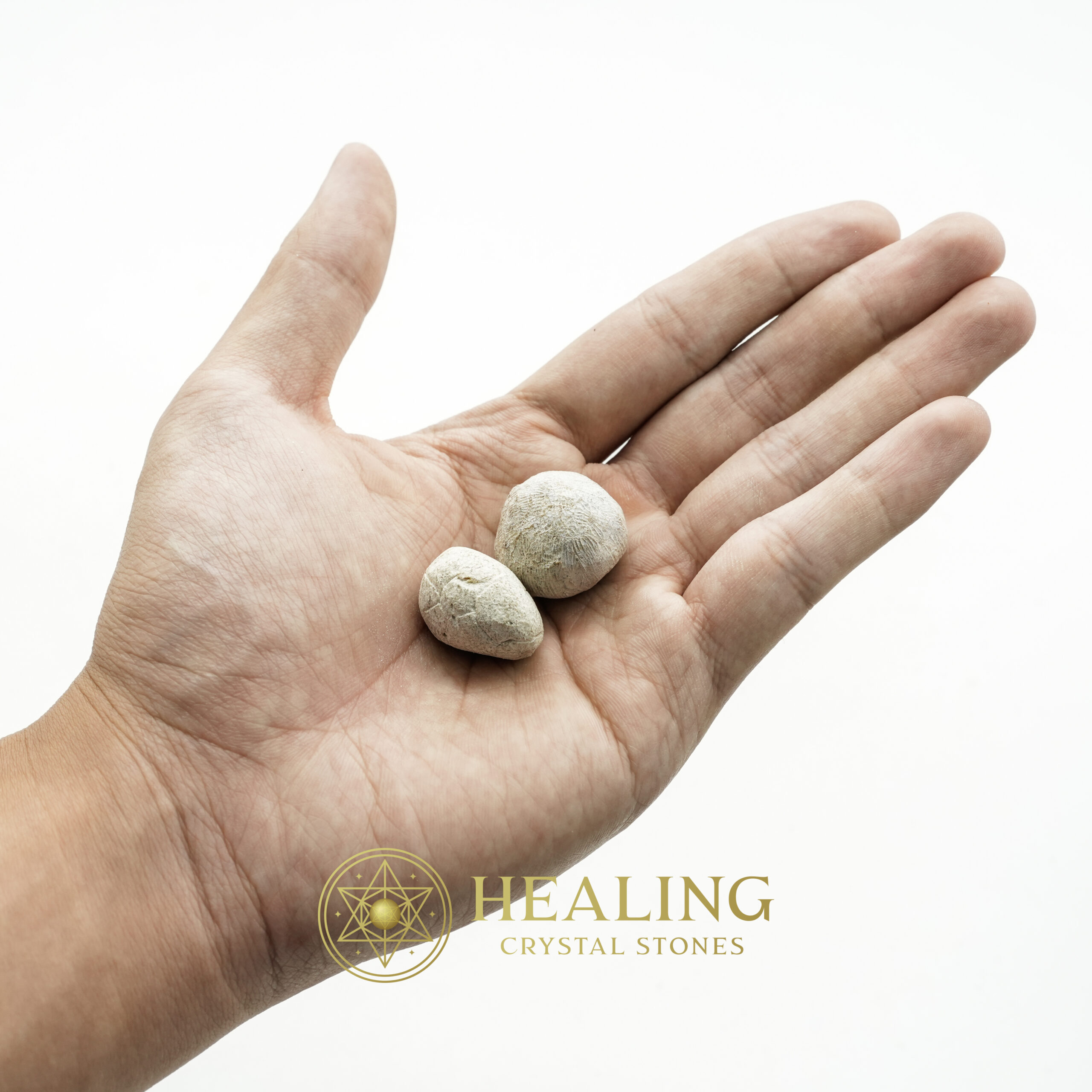 Nagasari Tree Seed Fossil - Type A1 - Healing Crystals, Crystal Stones Mustika Pearls Mustika Stones Talismanic Stones Amulet Stones Healing Stones Spiritual Crystals Crystals Talismans Stones Talisman Crystals Amulet stones mystical shaman shamanic spiritual spiritualism metaphysics occult psychic