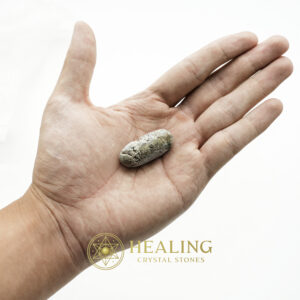 Nagasari Tree Seed Fossil - Type A2 - Healing Crystals, Crystal Stones Mustika Pearls Mustika Stones Talismanic Stones Amulet Stones Healing Stones Spiritual Crystals Crystals Talismans Stones Talisman Crystals Amulet stones mystical shaman shamanic spiritual spiritualism metaphysics occult psychic
