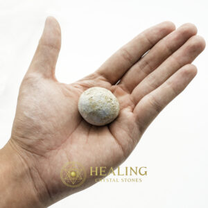 Nagasari Tree Seed Fossil - Type A3 - Healing Crystals, Crystal Stones Mustika Pearls Mustika Stones Talismanic Stones Amulet Stones Healing Stones Spiritual Crystals Crystals Talismans Stones Talisman Crystals Amulet stones mystical shaman shamanic spiritual spiritualism metaphysics occult psychic