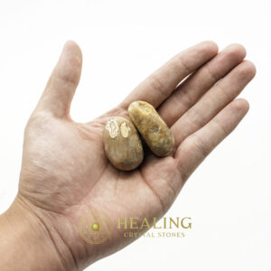 Nagasari Wood Pearl - Type B1 - Healing Crystals, Crystal Stones Mustika Pearls Mustika Stones Talismanic Stones Amulet Stones Healing Stones Spiritual Crystals Crystals Talismans Stones Talisman Crystals Amulet stones mystical shaman shamanic spiritual spiritualism metaphysics occult psychic