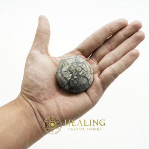Nagasari Wood Pearl - Type B2 - Healing Crystals, Crystal Stones Mustika Pearls Mustika Stones Talismanic Stones Amulet Stones Healing Stones Spiritual Crystals Crystals Talismans Stones Talisman Crystals Amulet stones mystical shaman shamanic spiritual spiritualism metaphysics occult psychic