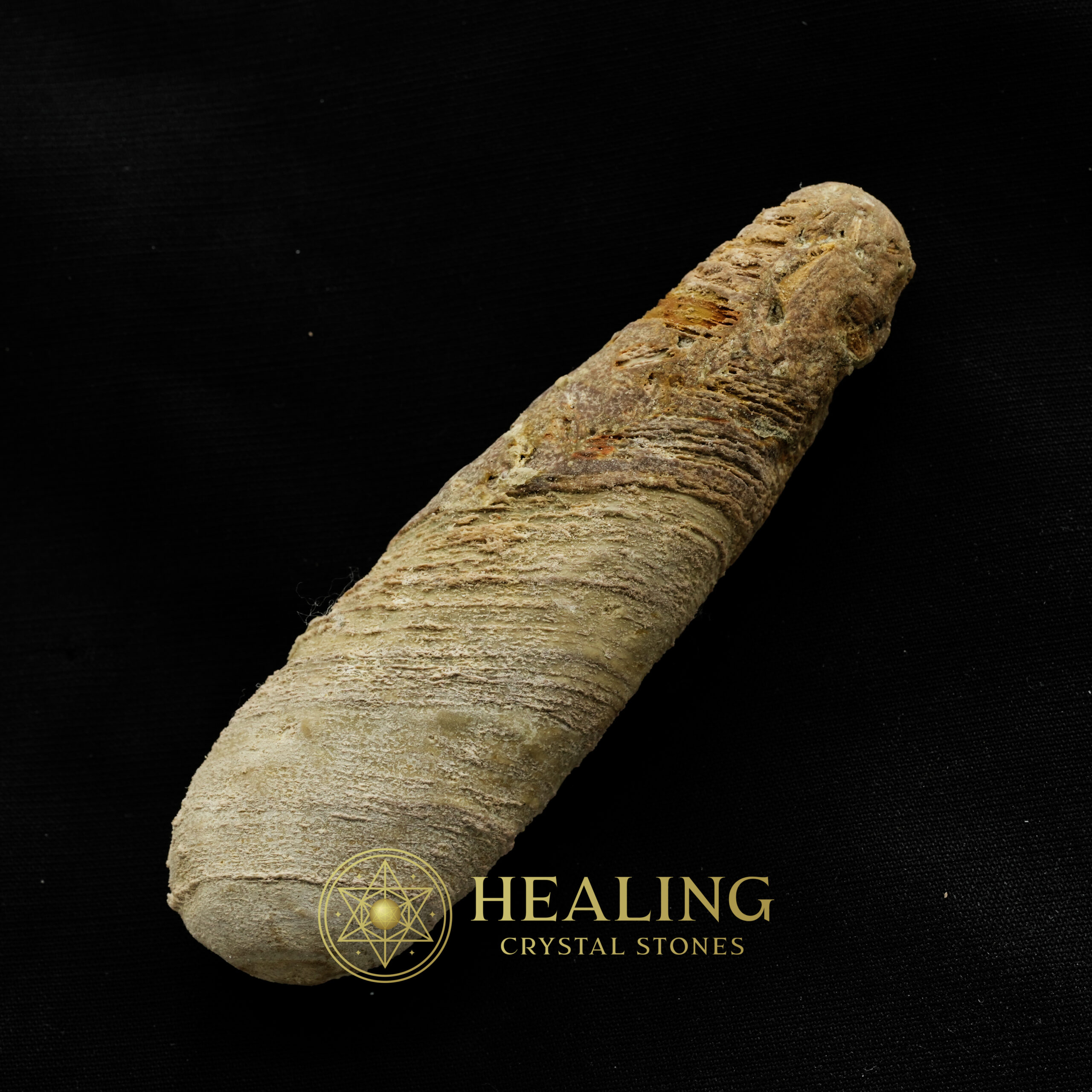 Nagasari Wood Pearl - Type C1 - Healing Crystals, Crystal Stones Mustika Pearls Mustika Stones Talismanic Stones Amulet Stones Healing Stones Spiritual Crystals Crystals Talismans Stones Talisman Crystals Amulet stones mystical shaman shamanic spiritual spiritualism metaphysics occult psychic