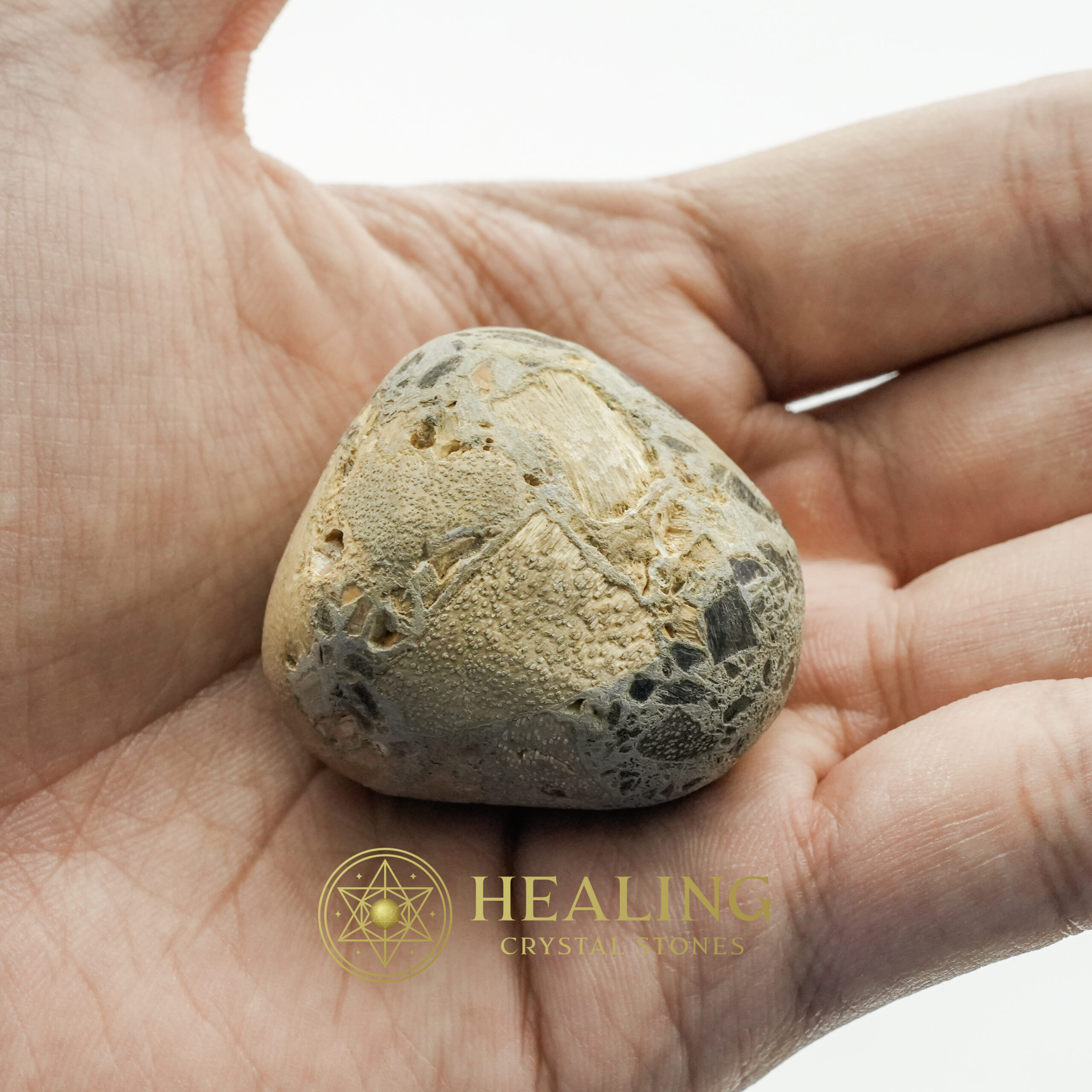 Tamarind Tree Pearl - Type A - Healing Crystals, Crystal Stones Mustika Pearls Mustika Stones Talismanic Stones Amulet Stones Healing Stones Spiritual Crystals Crystals Talismans Stones Talisman Crystals Amulet stones mystical shaman shamanic spiritual spiritualism metaphysics occult psychic