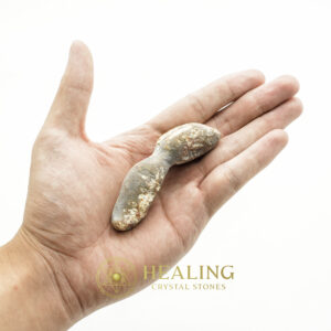 Fossil Suro Fish - Type A1 - crystal stones, natural crystals, raw crystals, polished gemstones, mystical stones, spiritual crystals, healing stones, metaphysical crystals, sacred stones, energy crystals