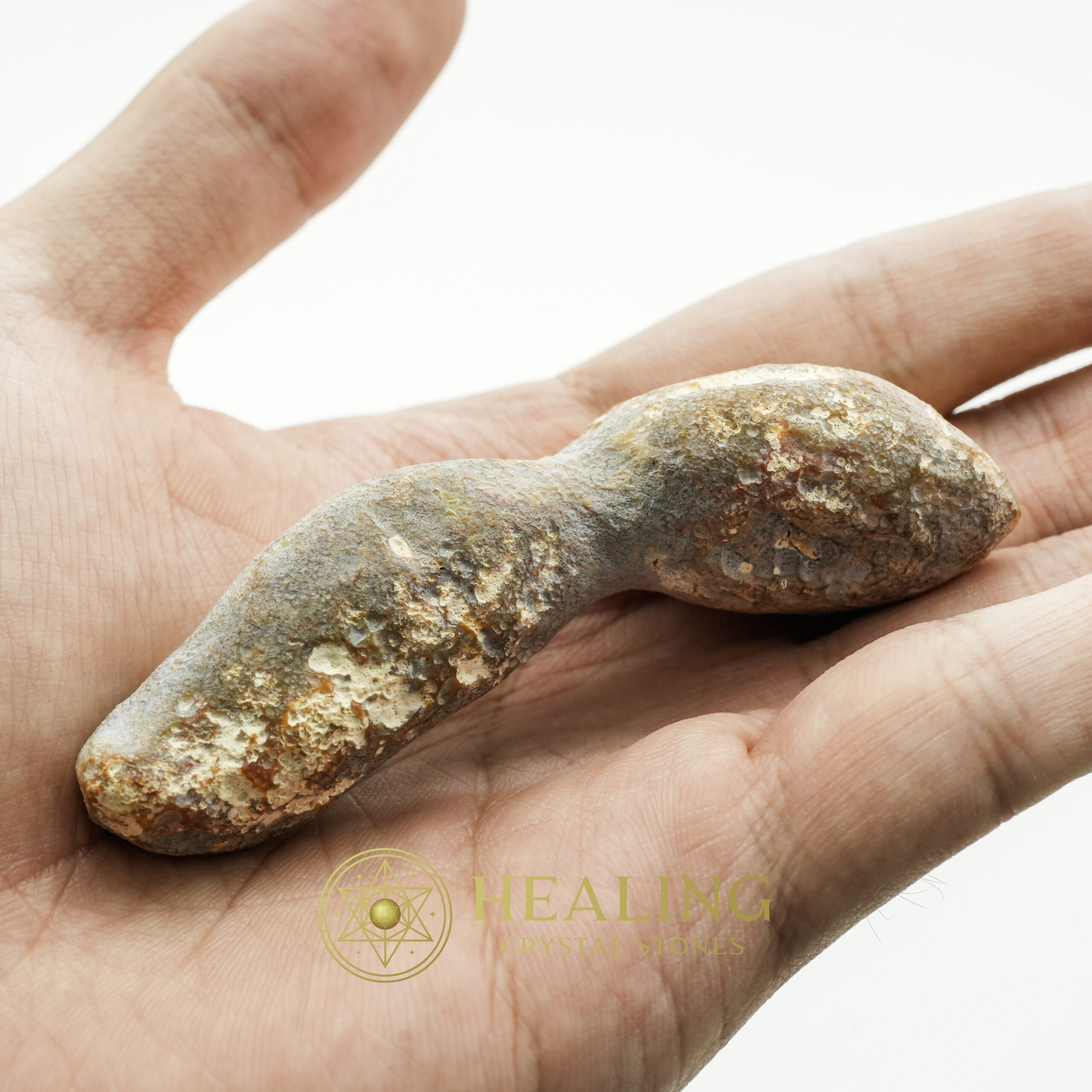 Fossil Suro Fish - Type A1 - crystal stones, natural crystals, raw crystals, polished gemstones, mystical stones, spiritual crystals, healing stones, metaphysical crystals, sacred stones, energy crystals
