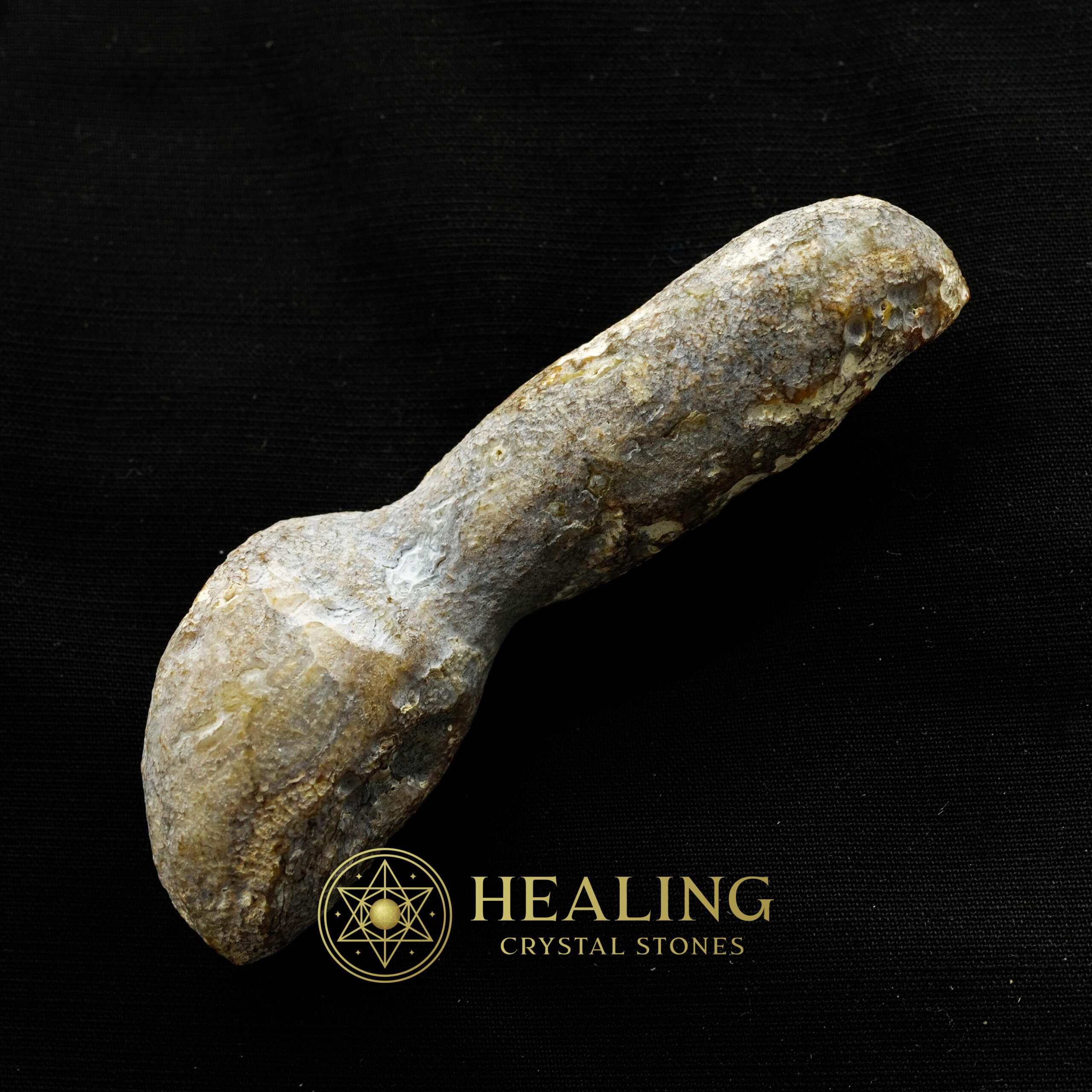 Fossil Suro Fish - Type A1 - crystal stones, natural crystals, raw crystals, polished gemstones, mystical stones, spiritual crystals, healing stones, metaphysical crystals, sacred stones, energy crystals