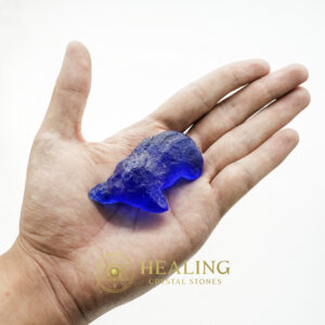 Fossilized Tunjung Biru Flower Leaf - Type A7 - enchanted crystals, enchanted stones, mystical stones, magical crystals, spiritual stones, sacred stones, metaphysical crystals, ritual stones, protective stones, energy healing crystals
