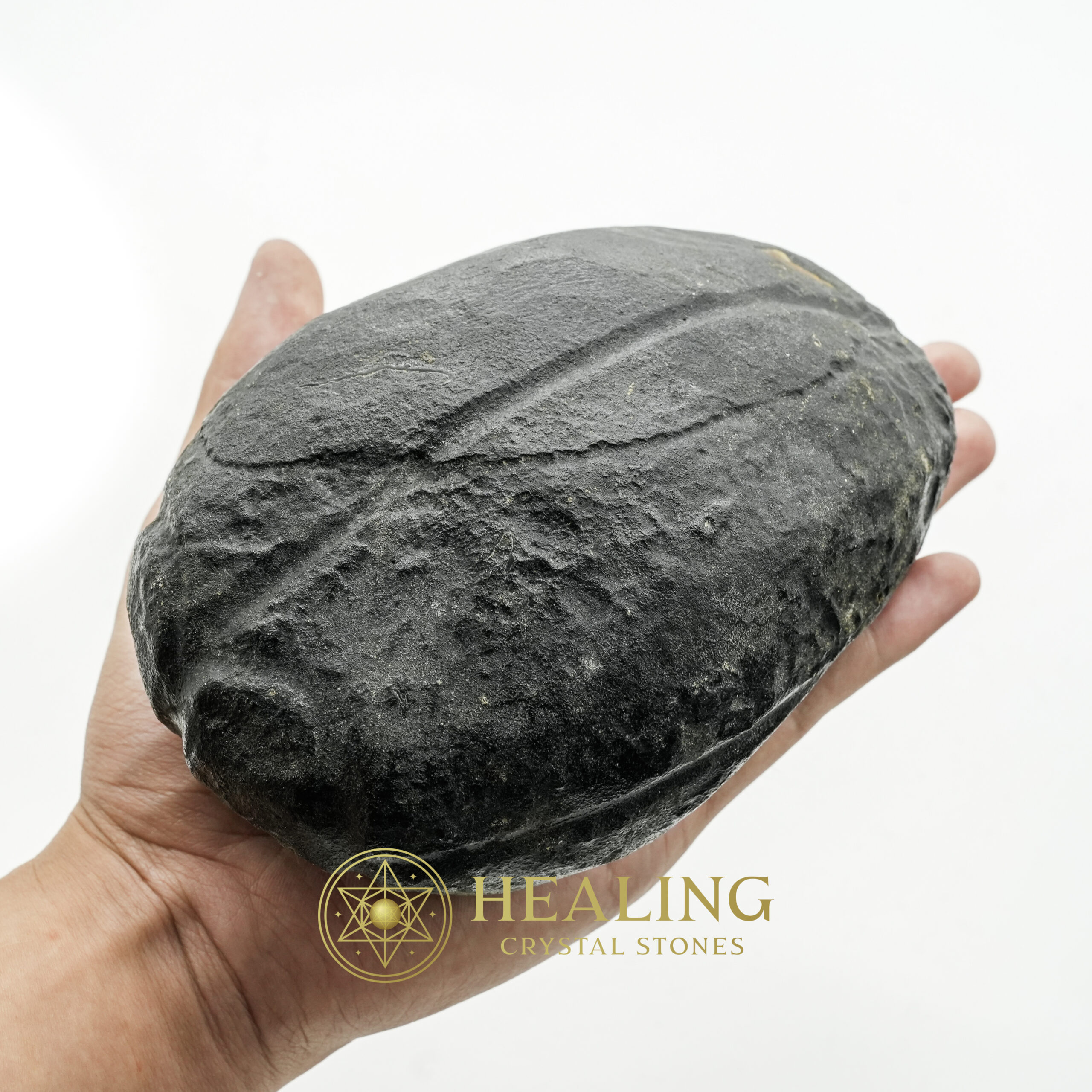 Star Oil Fossilized - A3.4 - intention crystals, intention stones, mystical stones, spiritual crystals, energy healing stones, metaphysical crystals, sacred stones, ritual stones, protective crystals, enchanted crystals