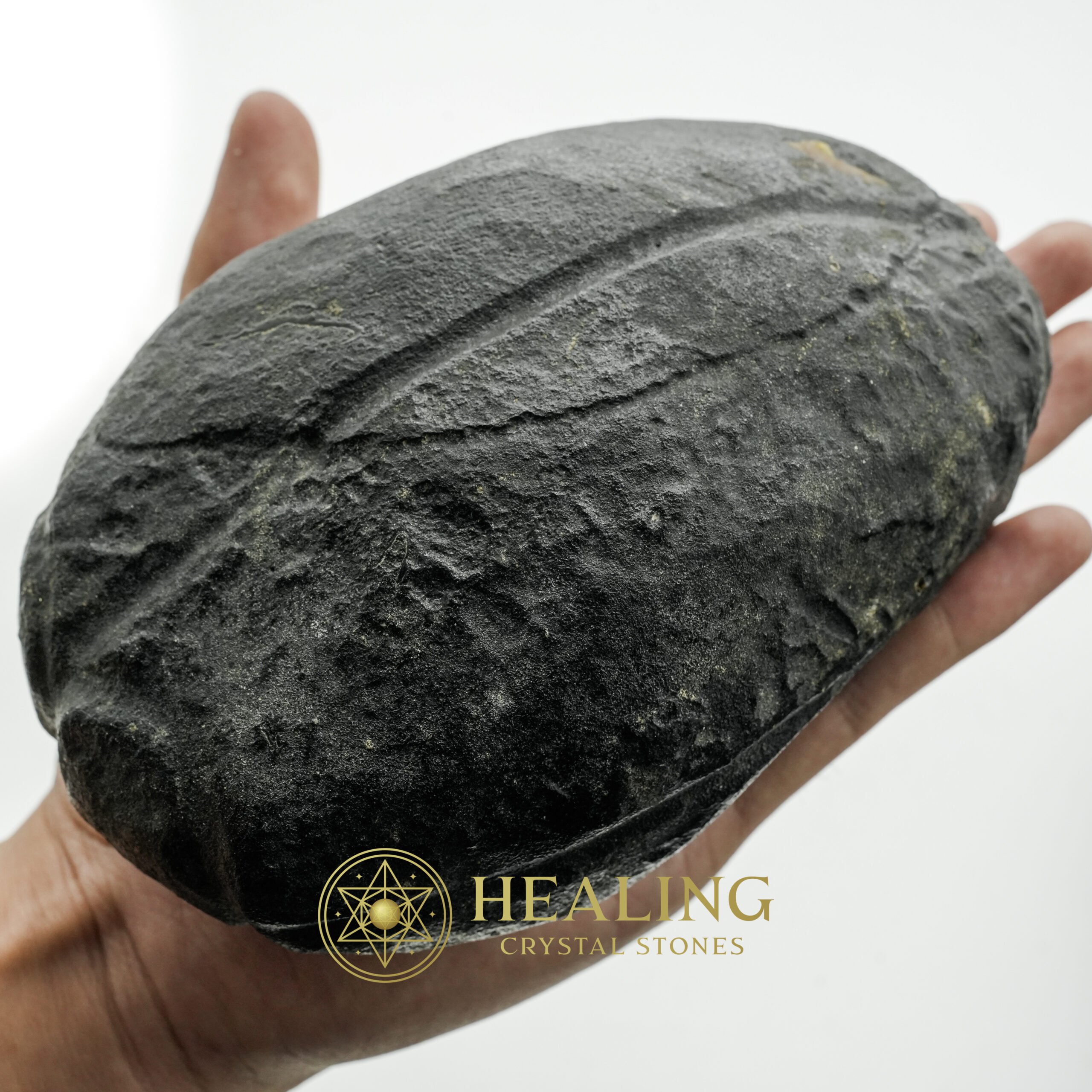 Star Oil Fossilized - A3.4 - intention crystals, intention stones, mystical stones, spiritual crystals, energy healing stones, metaphysical crystals, sacred stones, ritual stones, protective crystals, enchanted crystals