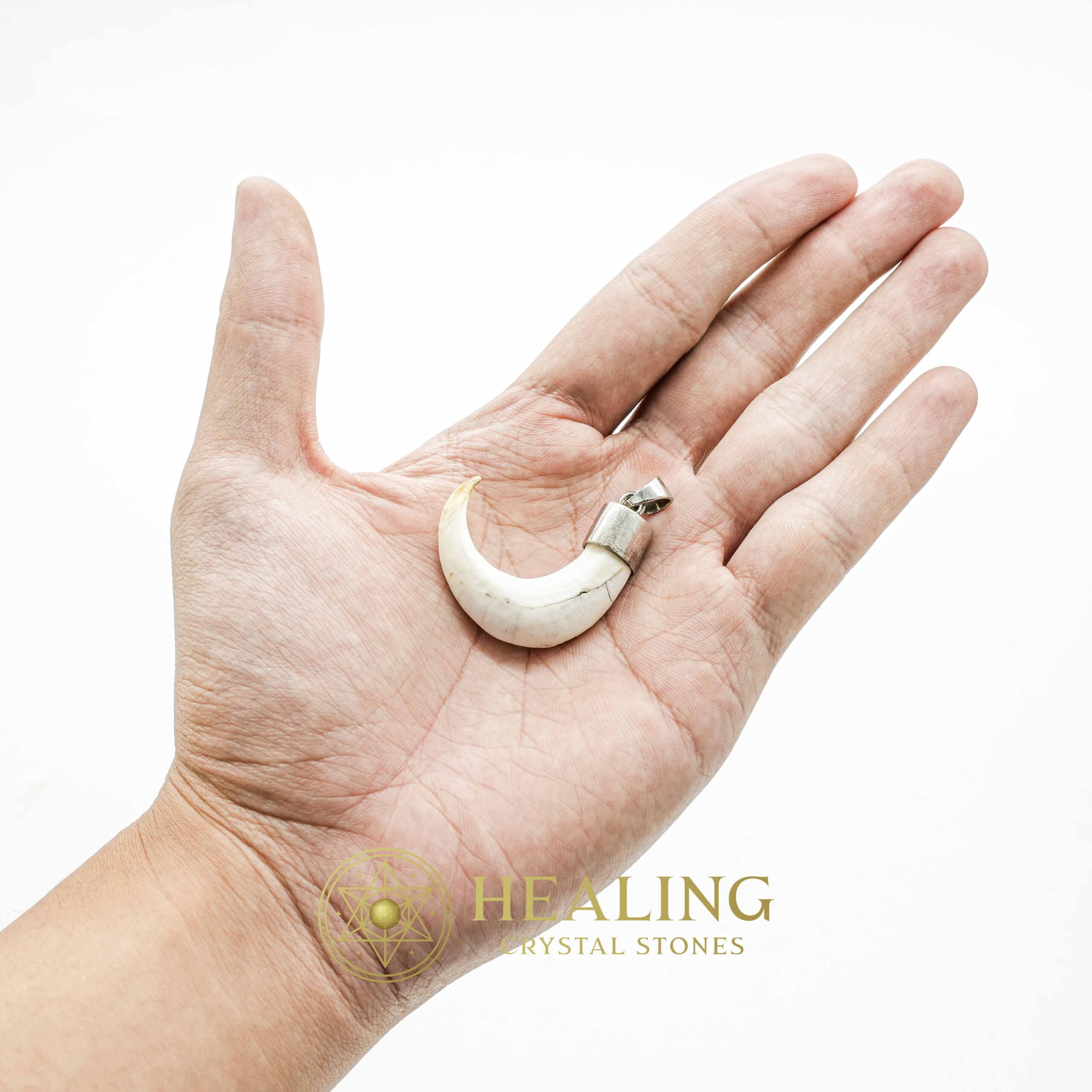 Orang Utan Claw - Spiritual Crystals, Ritual Crystals, Healing Bezoar Stones, Amulet stones, psychic, metaphysics, mystical, occult, Power Animal Stones, Talismans Stones