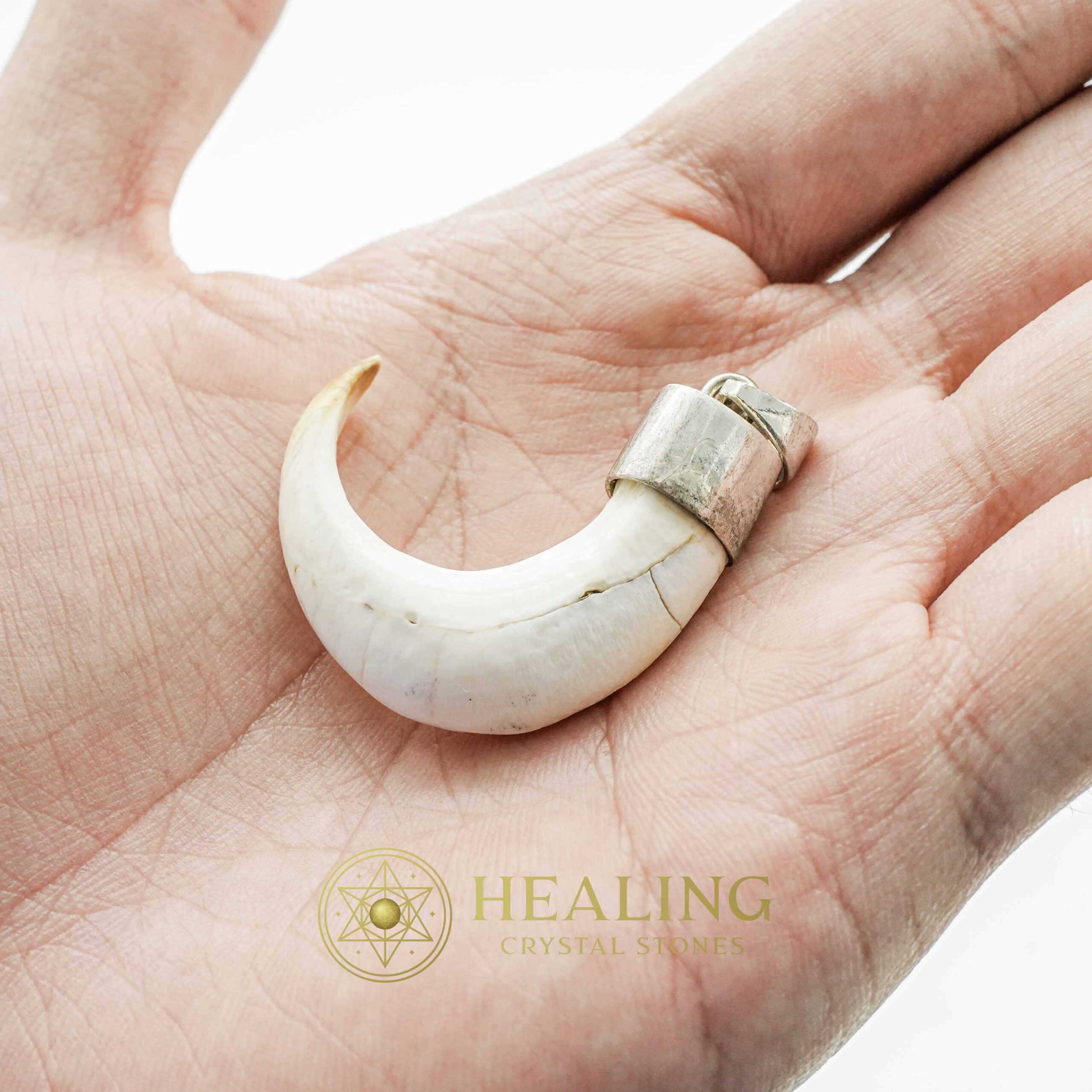 Orang Utan Claw - Spiritual Crystals, Ritual Crystals, Healing Bezoar Stones, Amulet stones, psychic, metaphysics, mystical, occult, Power Animal Stones, Talismans Stones