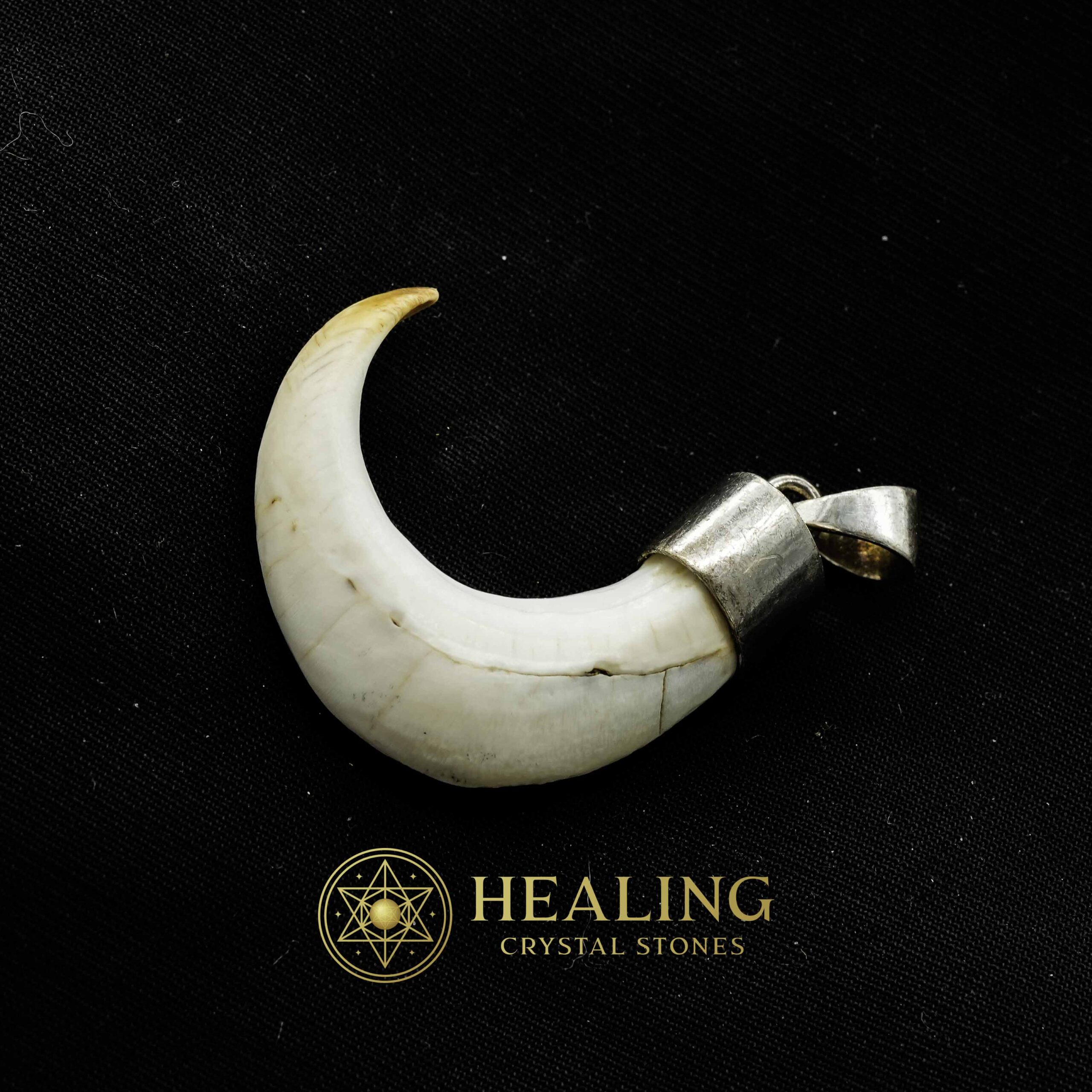 Orang Utan Claw - Spiritual Crystals, Ritual Crystals, Healing Bezoar Stones, Amulet stones, psychic, metaphysics, mystical, occult, Power Animal Stones, Talismans Stones