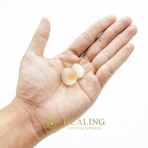 Kumala Centipede Pearl - Type B5 (Female) - Crystal Stones, Healing Stones, Magickal Crystals, Power Animal Stones, mystical, occult, metaphysics, psychic, Ritual Crystals, Bezoar Stones