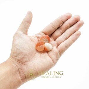 Kumala Centipede Pearl - Type B1 (Female) - Spiritual Crystals, Mustika Stones, Healing Stones, Bezoar Crystals, occult, mystical, spiritualism, psychic, Power Animal Stones, Talismanic Stones