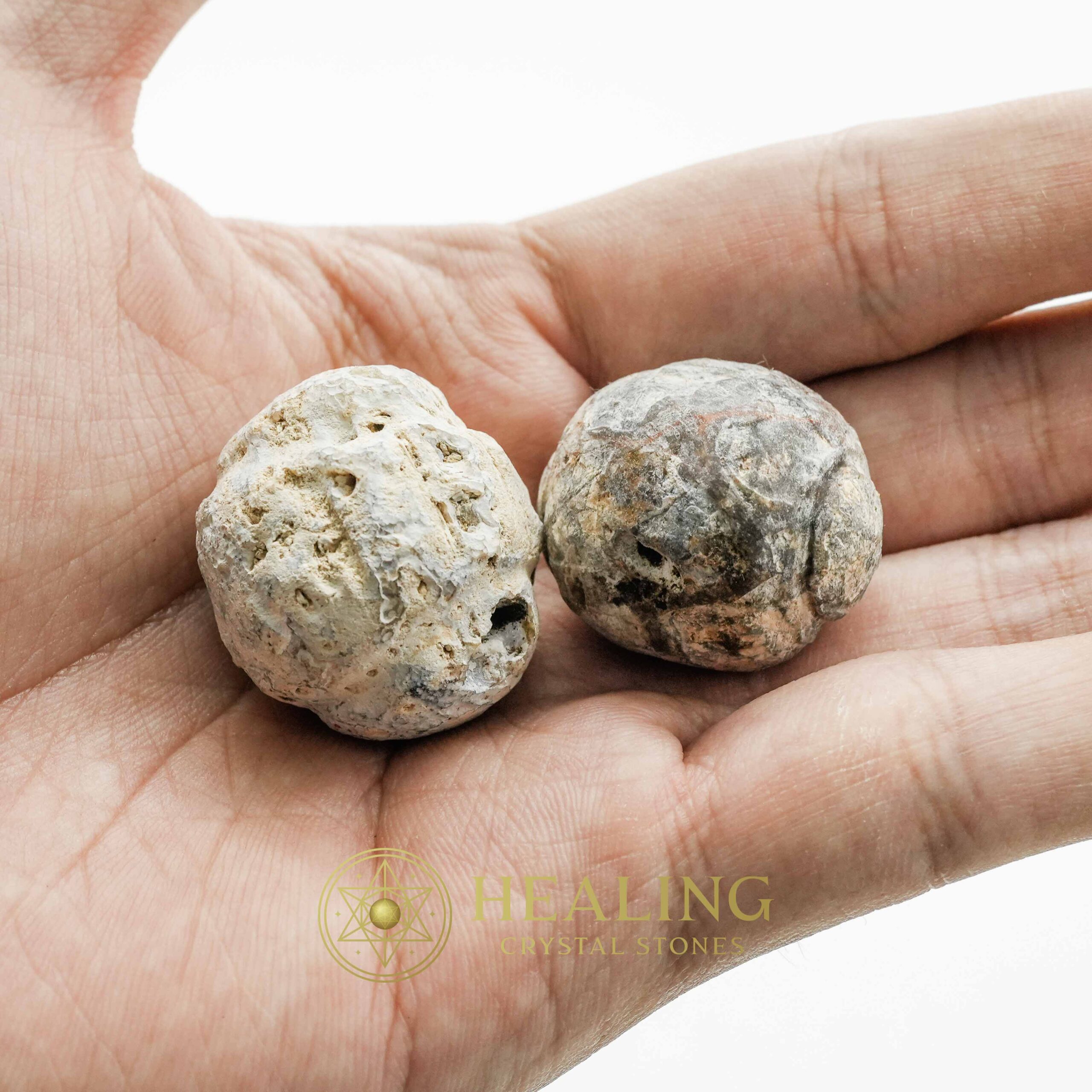 Liwung Wood Pearl - Type A1 - Crystal Talismans, Healing Bezoar Stones, Mystical Rituals, Spiritual Crystals, Power Animal Stones, Psychic Energy, Ancient Talismans, Metaphysical Stones, Sacred Charms, Magical Healing