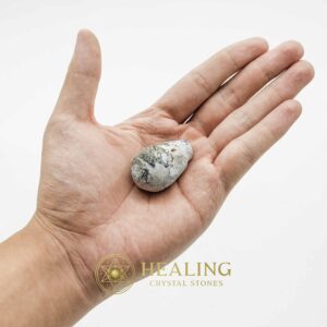 Liwung Wood Pearl - Type A3 - Talisman Stones, Crystal Healing, Mystic Bezoars, Spiritual Rituals, Magickal Energy, Animal Totems, Sacred Stones, Psychic Crystals, Healing Talismans, Ancient Wisdom