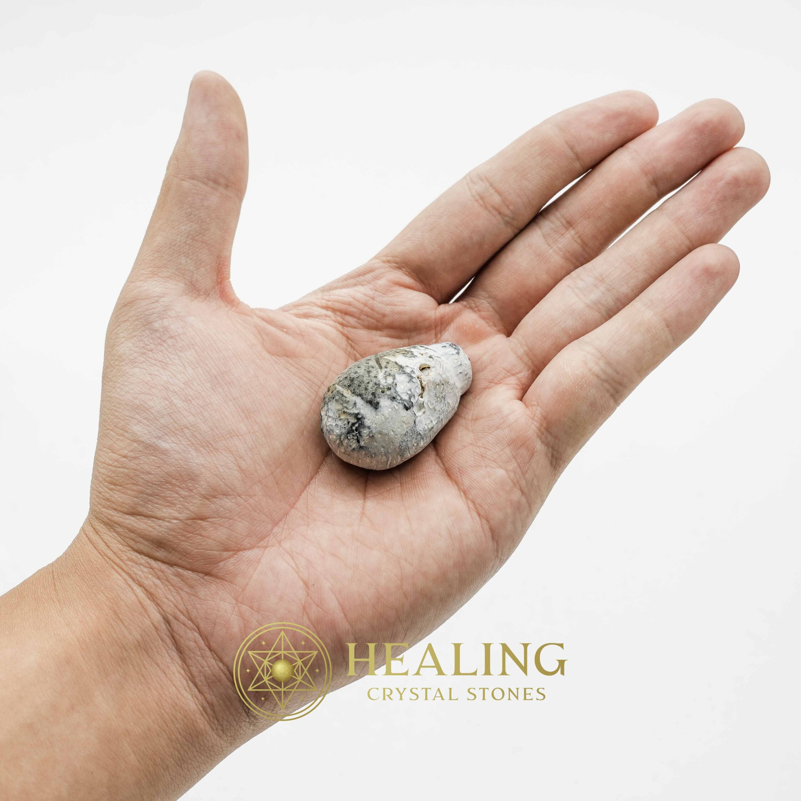 Liwung Wood Pearl - Type A3 - Talisman Stones, Crystal Healing, Mystic Bezoars, Spiritual Rituals, Magickal Energy, Animal Totems, Sacred Stones, Psychic Crystals, Healing Talismans, Ancient Wisdom