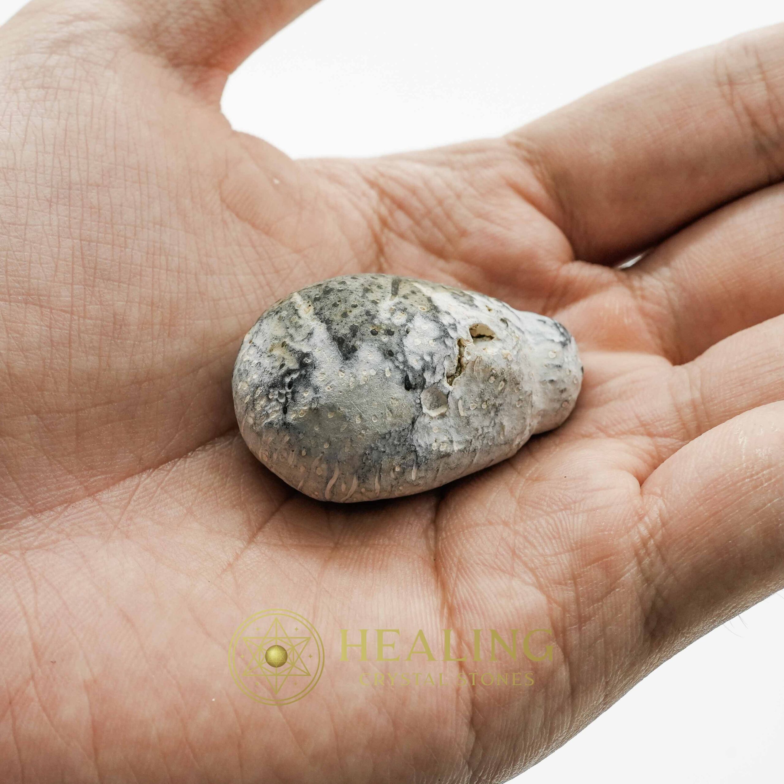 Liwung Wood Pearl - Type A3 - Talisman Stones, Crystal Healing, Mystic Bezoars, Spiritual Rituals, Magickal Energy, Animal Totems, Sacred Stones, Psychic Crystals, Healing Talismans, Ancient Wisdom