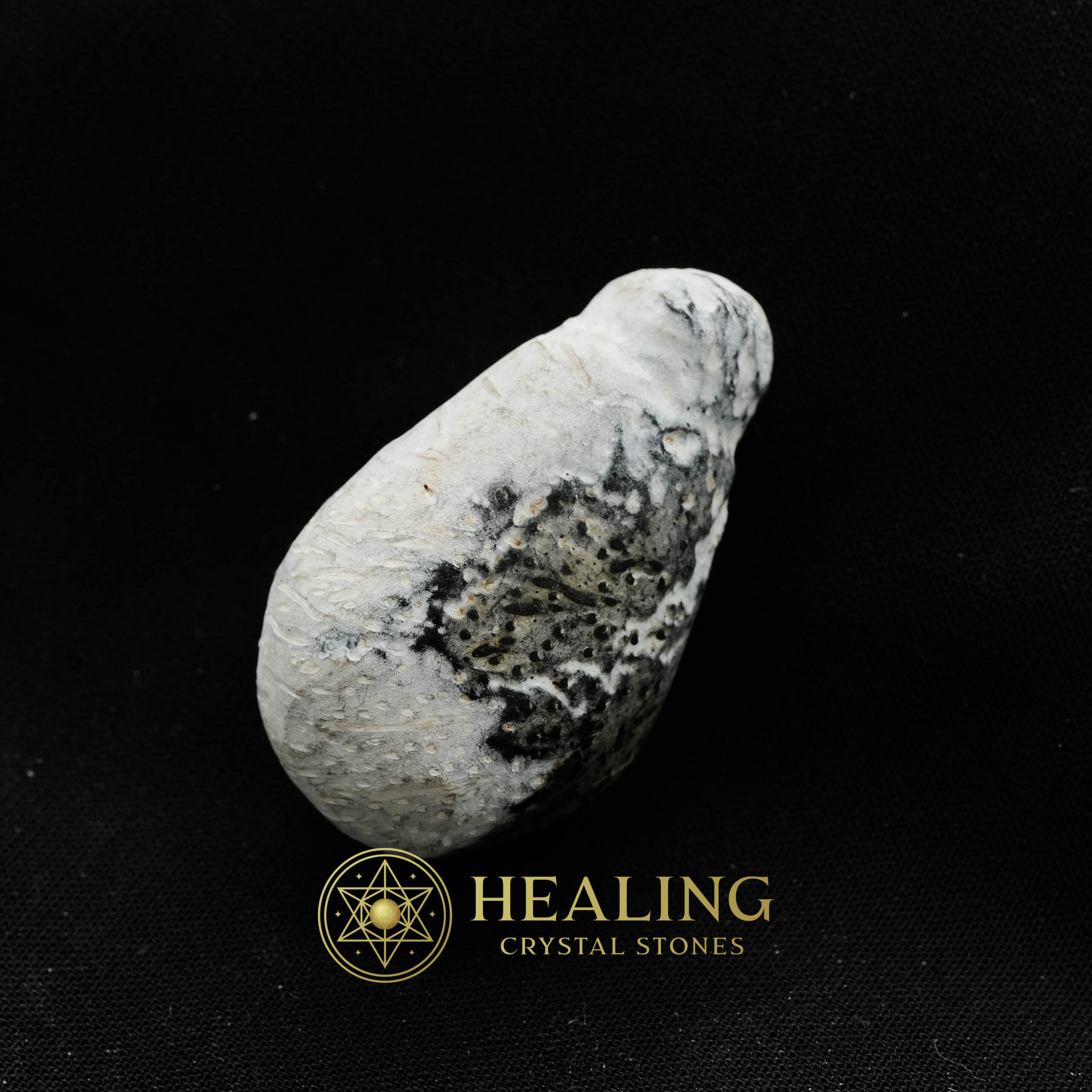 Liwung Wood Pearl - Type A3 - Talisman Stones, Crystal Healing, Mystic Bezoars, Spiritual Rituals, Magickal Energy, Animal Totems, Sacred Stones, Psychic Crystals, Healing Talismans, Ancient Wisdom