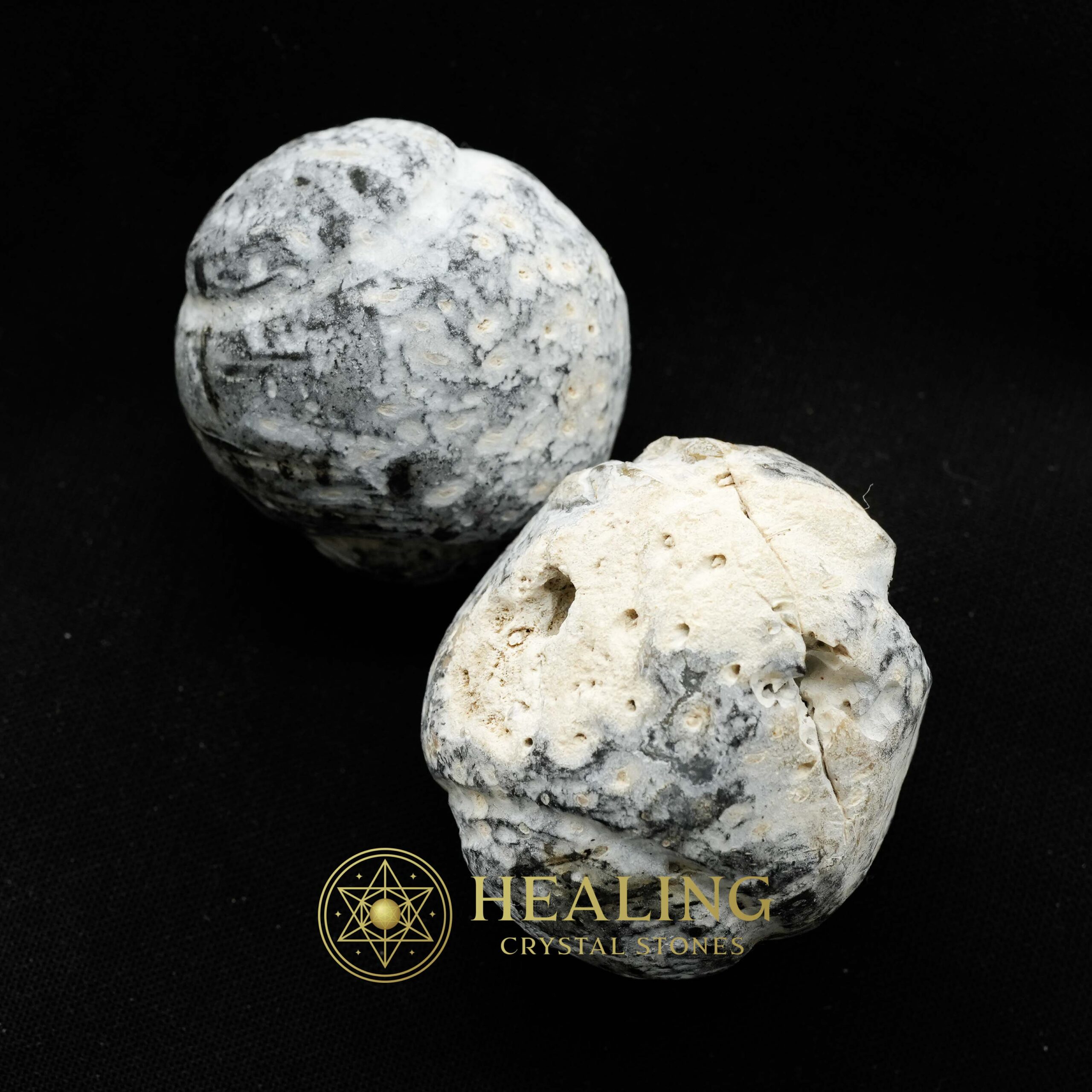 Liwung Wood Pearl - Type A4 - Bezoar Crystals, Healing Magic, Spiritual Totems, Occult Crystals, Mystical Stones, Ritual Power, Psychic Talismans, Sacred Relics, Crystal Rituals, Metaphysical Gems