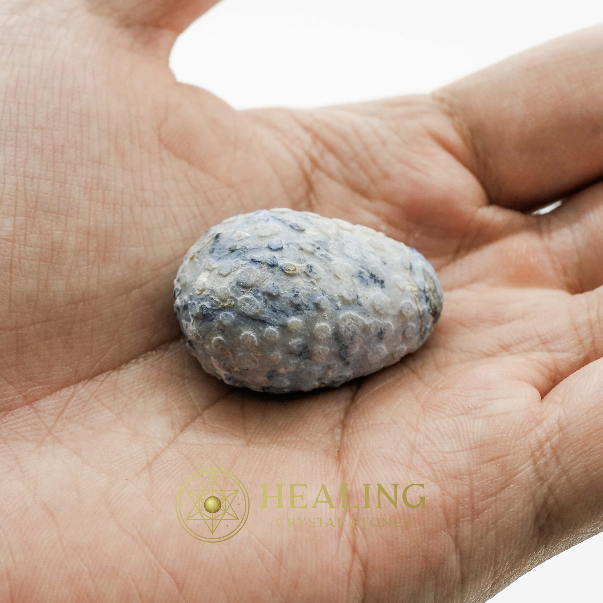 Liwung Wood Pearl - Type B1 - Healing Crystals, Shamanic Talismans, Mystic Energy, Spiritual Healing Stones, Ritual Crystals, Psychic Symbols, Ancient Bezoars, Magical Charms, Sacred Power, Totem Stones