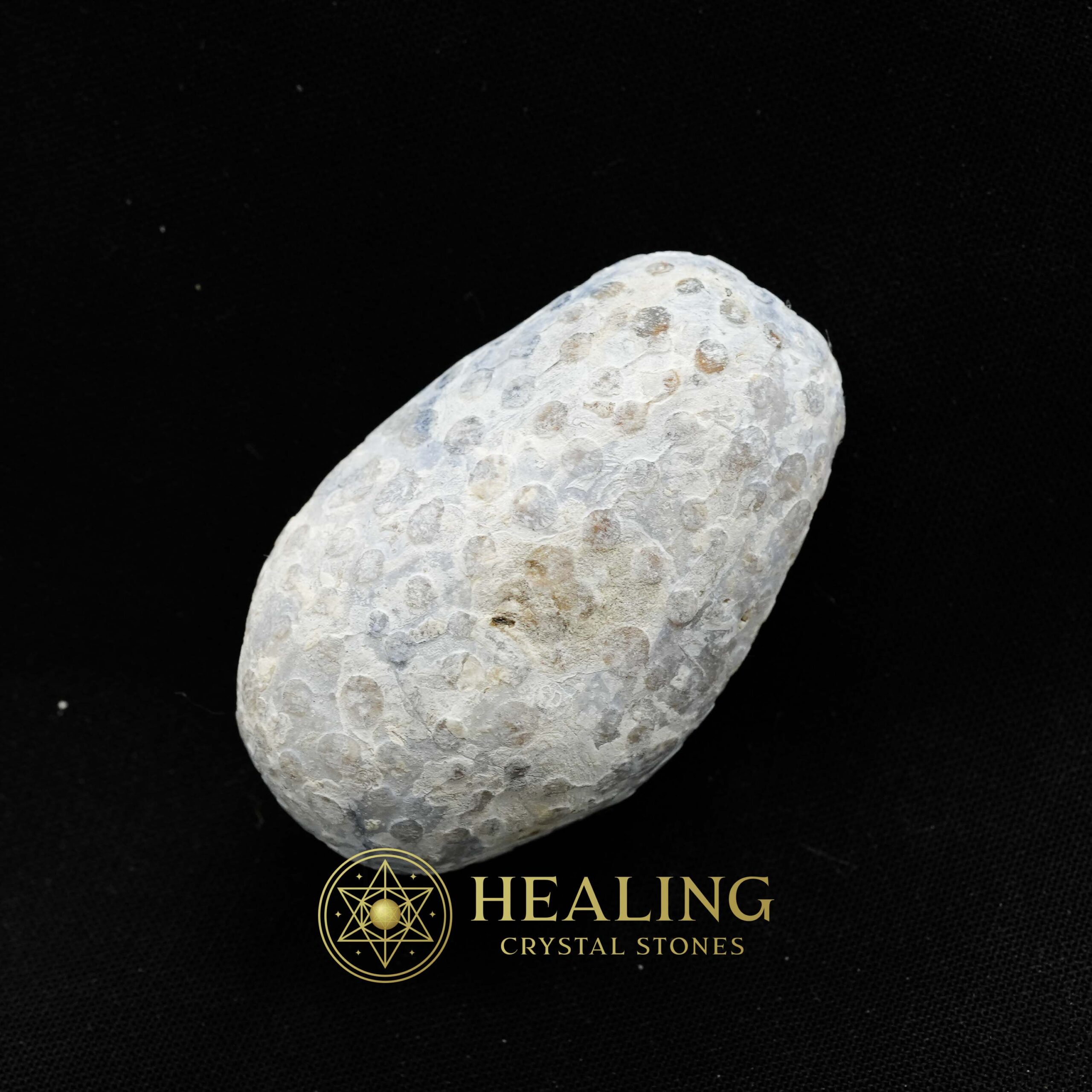 Liwung Wood Pearl - Type B2 - Healing Crystals, Shamanic Talismans, Mystic Energy, Spiritual Healing Stones, Ritual Crystals, Psychic Symbols, Ancient Bezoars, Magical Charms, Sacred Power, Totem Stones