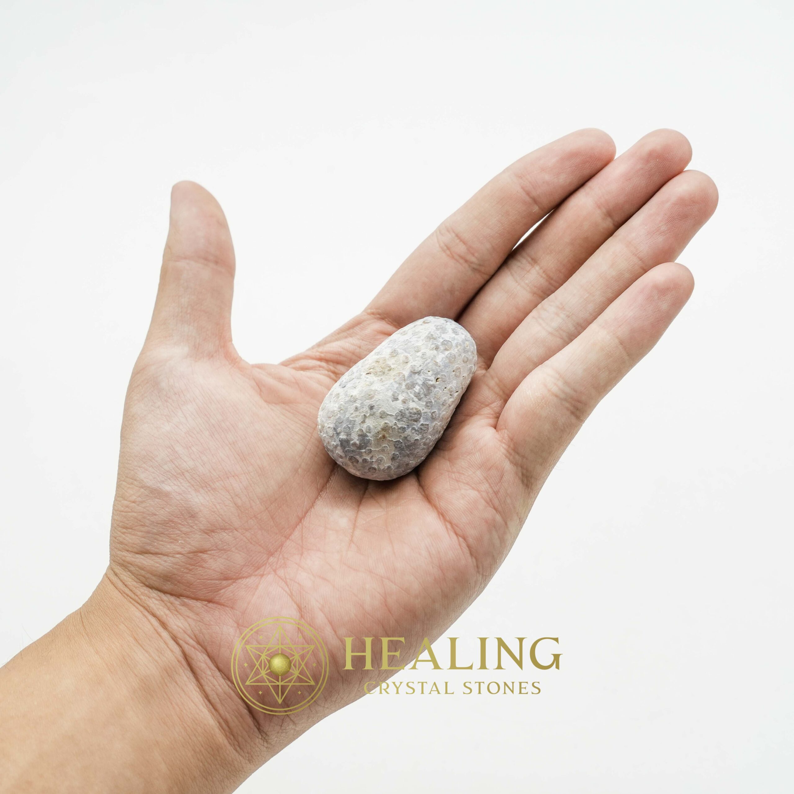 Liwung Wood Pearl - Type B2 - Healing Crystals, Shamanic Talismans, Mystic Energy, Spiritual Healing Stones, Ritual Crystals, Psychic Symbols, Ancient Bezoars, Magical Charms, Sacred Power, Totem Stones