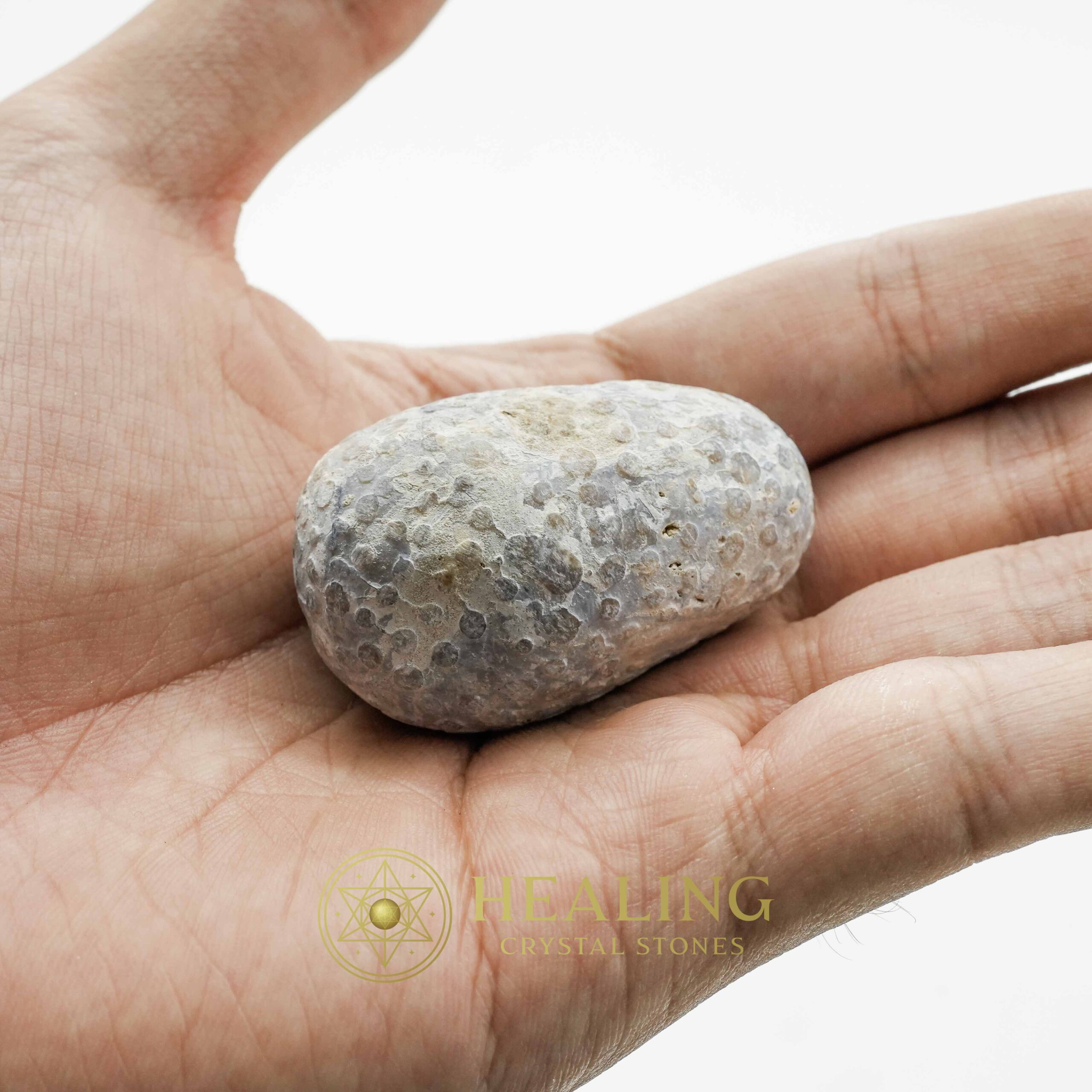 Liwung Wood Pearl - Type B2 - Healing Crystals, Shamanic Talismans, Mystic Energy, Spiritual Healing Stones, Ritual Crystals, Psychic Symbols, Ancient Bezoars, Magical Charms, Sacred Power, Totem Stones