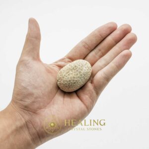 Liwung Wood Pearl - Type B3 - Mustika Stones, Healing Rituals, Crystal Talismans, Psychic Crystals, Spiritual Energy, Mystical Gems, Sacred Stones, Magickal Healing, Occult Totems, Ritual Power