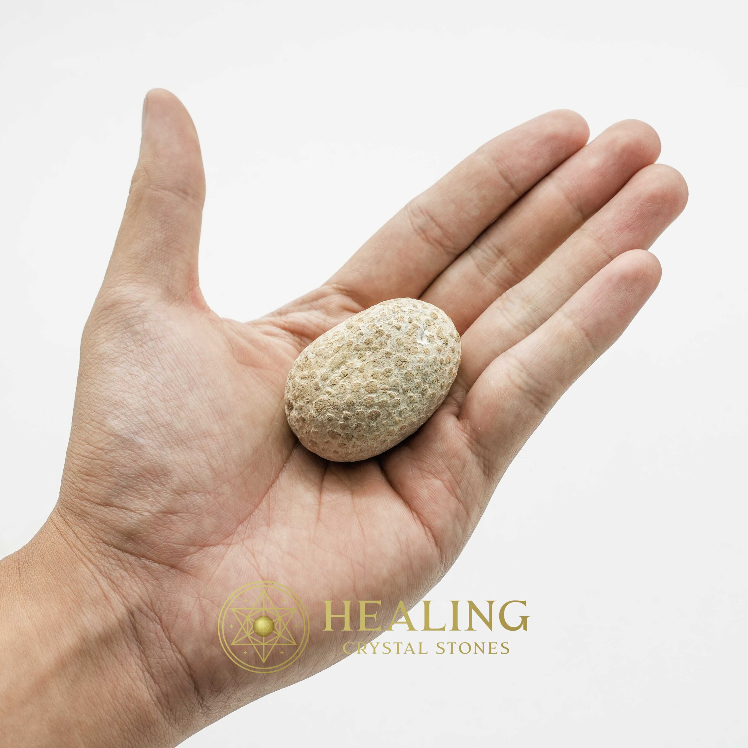 Liwung Wood Pearl - Type B3 - Mustika Stones, Healing Rituals, Crystal Talismans, Psychic Crystals, Spiritual Energy, Mystical Gems, Sacred Stones, Magickal Healing, Occult Totems, Ritual Power