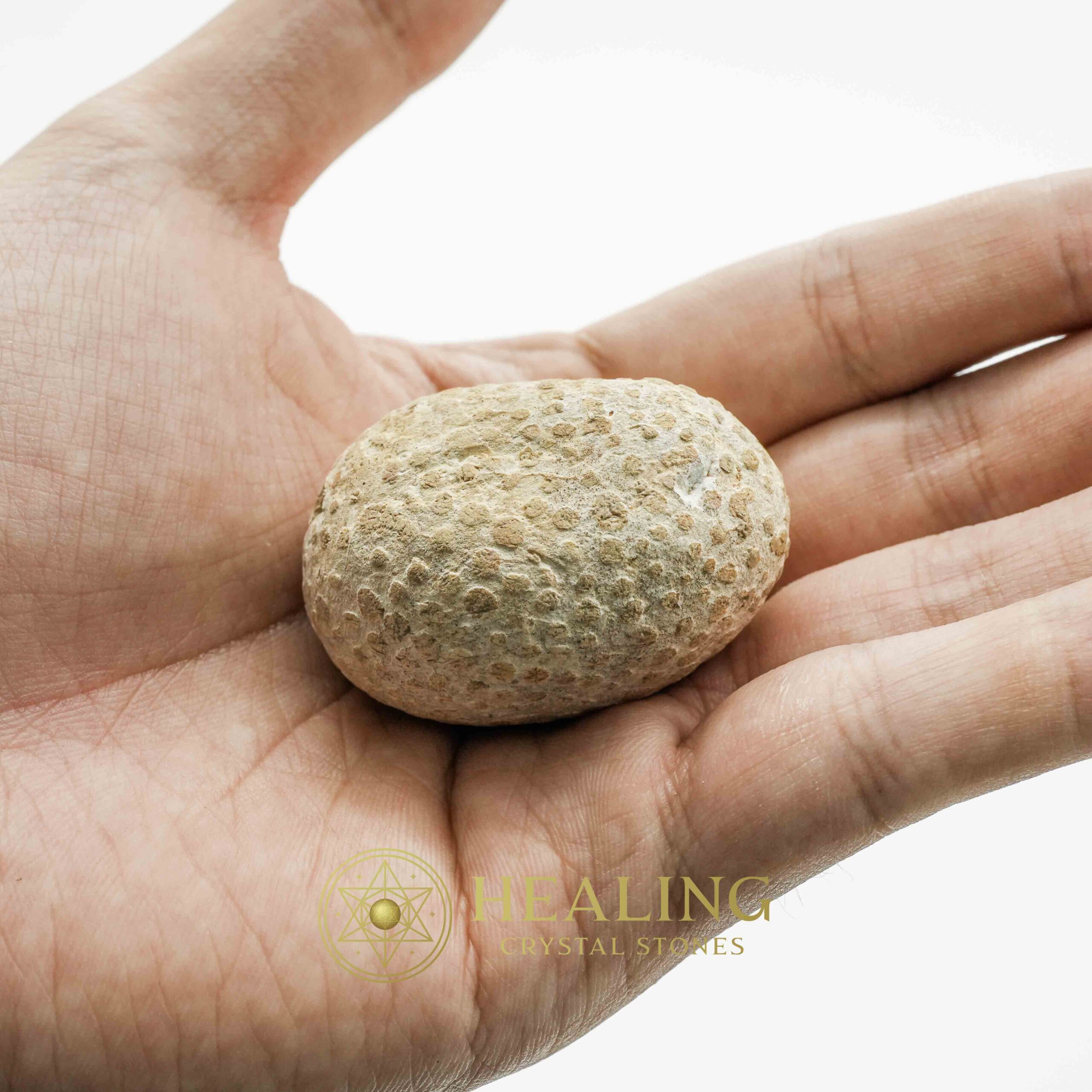 Liwung Wood Pearl - Type B3 - Mustika Stones, Healing Rituals, Crystal Talismans, Psychic Crystals, Spiritual Energy, Mystical Gems, Sacred Stones, Magickal Healing, Occult Totems, Ritual Power