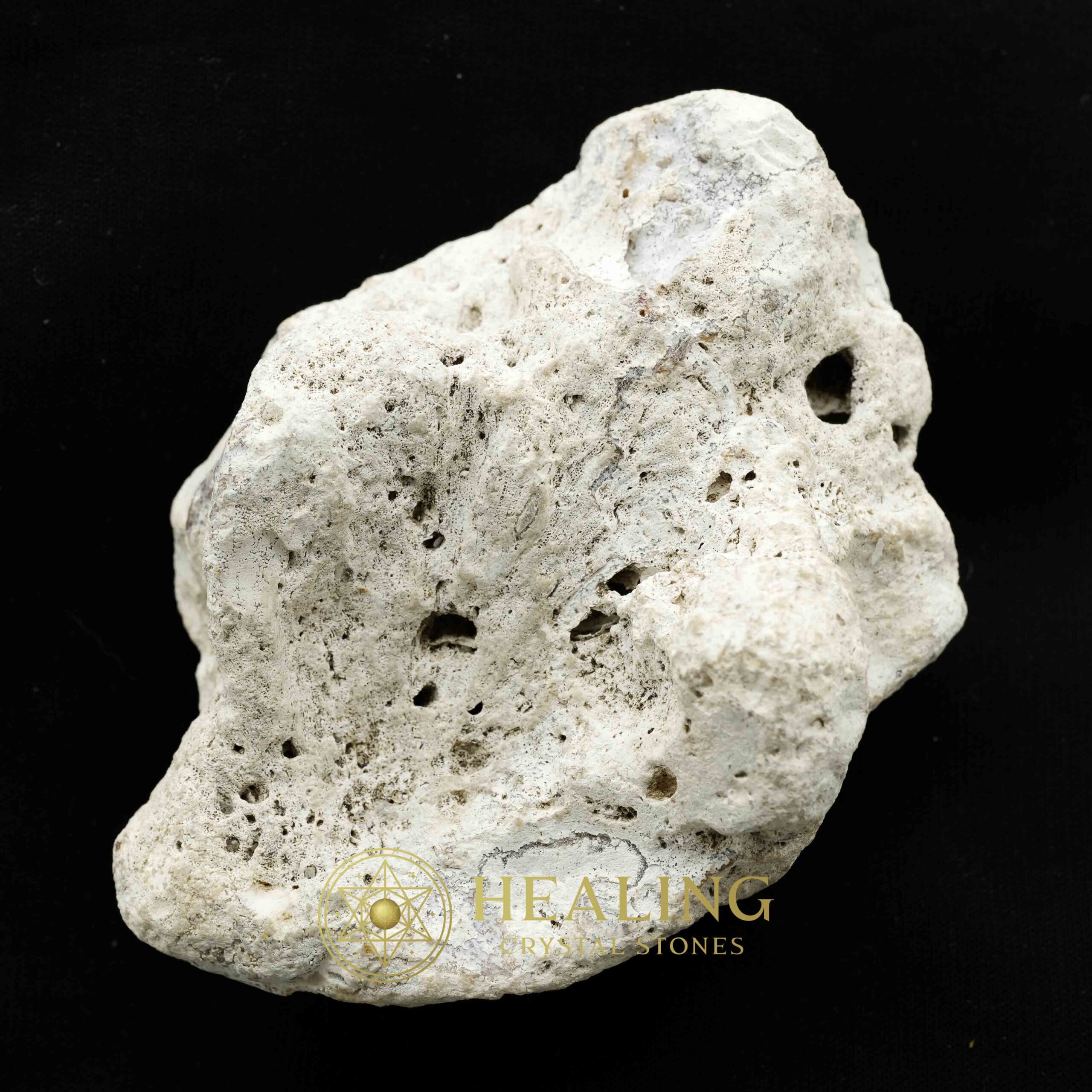 Liwung Wood Pearl – Type E1 (Fossil) - Crystal Healing, Ritual Talismans, Spiritual Totems, Mystical Power Stones, Psychic Crystals, Sacred Bezoars, Healing Rituals, Magickal Gems, Ancient Charms, Metaphysical Wisdom
