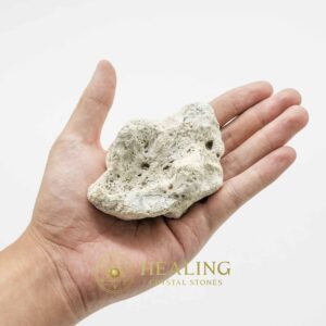 Liwung Wood Pearl – Type E1 (Fossil) - Crystal Healing, Ritual Talismans, Spiritual Totems, Mystical Power Stones, Psychic Crystals, Sacred Bezoars, Healing Rituals, Magickal Gems, Ancient Charms, Metaphysical Wisdom