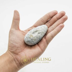 Menang Wood Fossil - Type A1 - Talisman Crystals, Healing Magic Stones, Occult Energy, Spiritual Relics, Mystic Totems, Crystal Rituals, Psychic Talismans, Sacred Symbols, Shamanic Healing, Ancient Stones