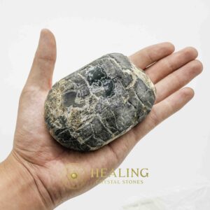 Menang Wood Fossil - Type A2 - Spiritual Crystals, Ritual Power Stones, Healing Totems, Psychic Energy, Magickal Relics, Mystical Charms, Crystal Talismans, Ancient Healing, Sacred Wisdom, Animal Spirit Crystals