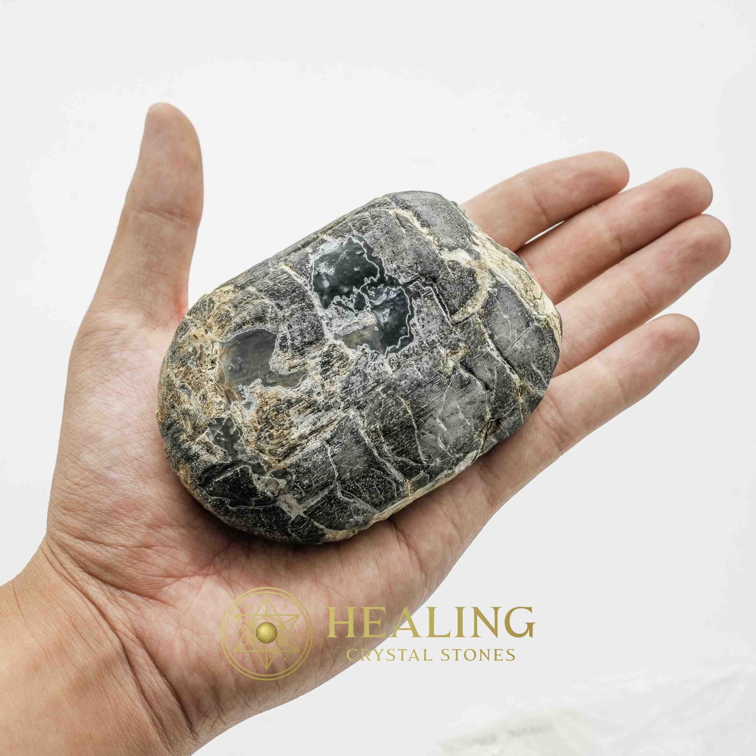 Menang Wood Fossil - Type A2 - Spiritual Crystals, Ritual Power Stones, Healing Totems, Psychic Energy, Magickal Relics, Mystical Charms, Crystal Talismans, Ancient Healing, Sacred Wisdom, Animal Spirit Crystals