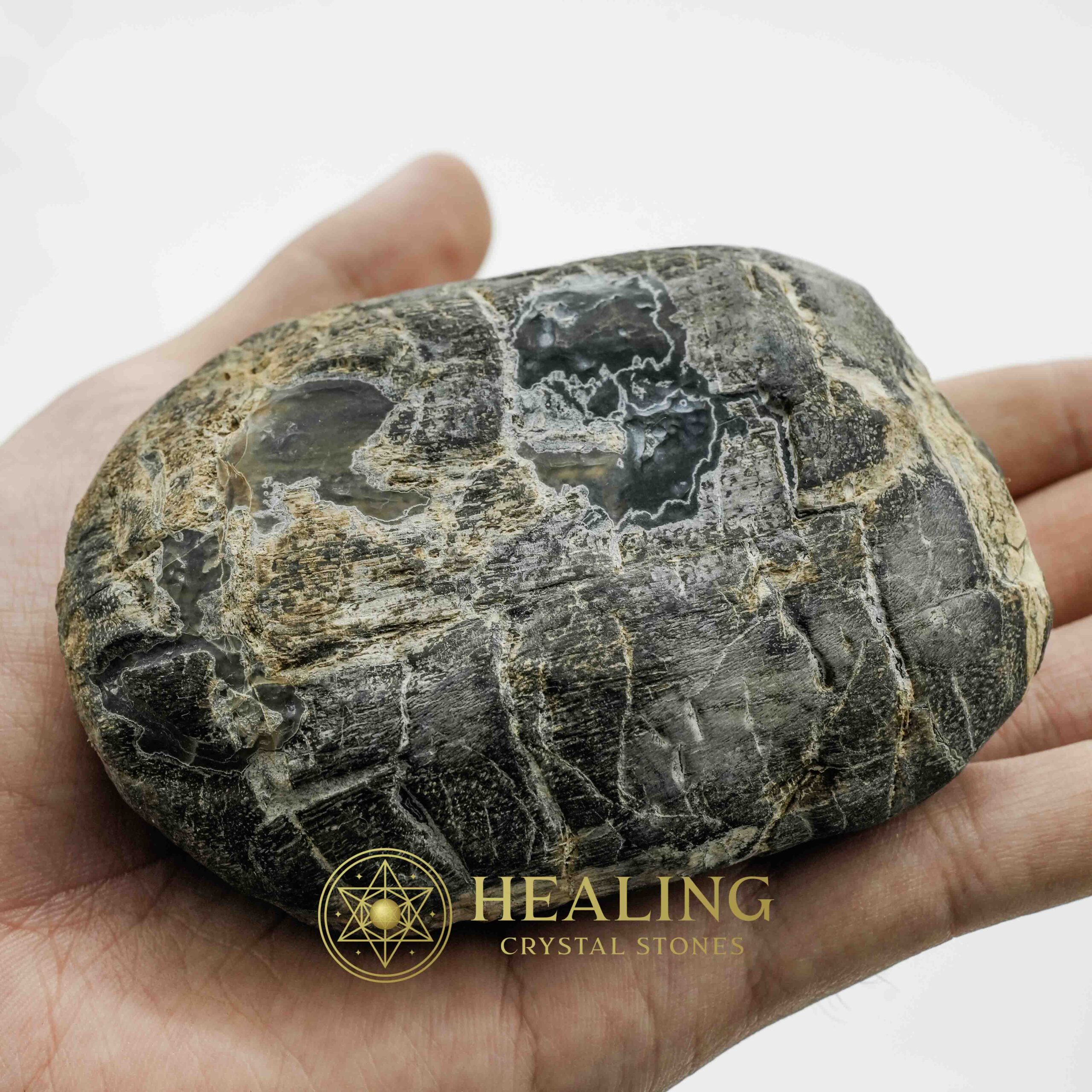 Menang Wood Fossil - Type A2 - Spiritual Crystals, Ritual Power Stones, Healing Totems, Psychic Energy, Magickal Relics, Mystical Charms, Crystal Talismans, Ancient Healing, Sacred Wisdom, Animal Spirit Crystals