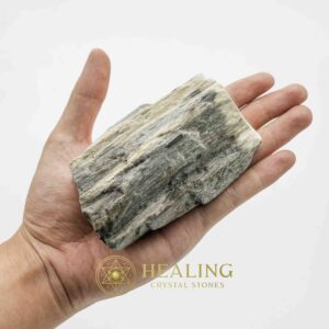 Menang Wood Fossil - Type A4 - Bezoar Stones, Metaphysical Rituals, Spiritual Healing, Psychic Crystals, Mystic Talismans, Ritual Energy, Sacred Totems, Ancient Charms, Healing Power Stones, Magickal Symbols