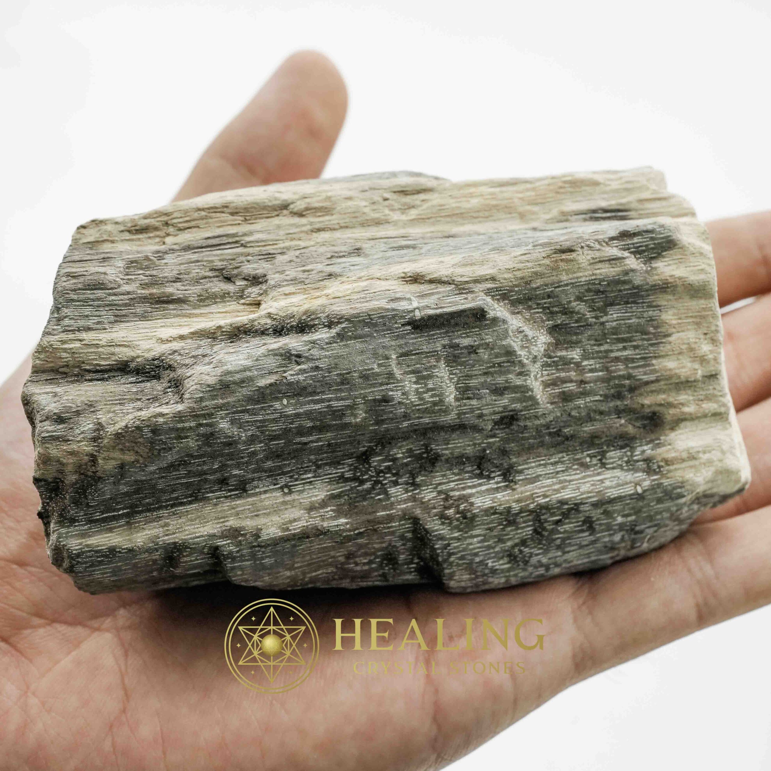 Menang Wood Fossil - Type A4 - Bezoar Stones, Metaphysical Rituals, Spiritual Healing, Psychic Crystals, Mystic Talismans, Ritual Energy, Sacred Totems, Ancient Charms, Healing Power Stones, Magickal Symbols