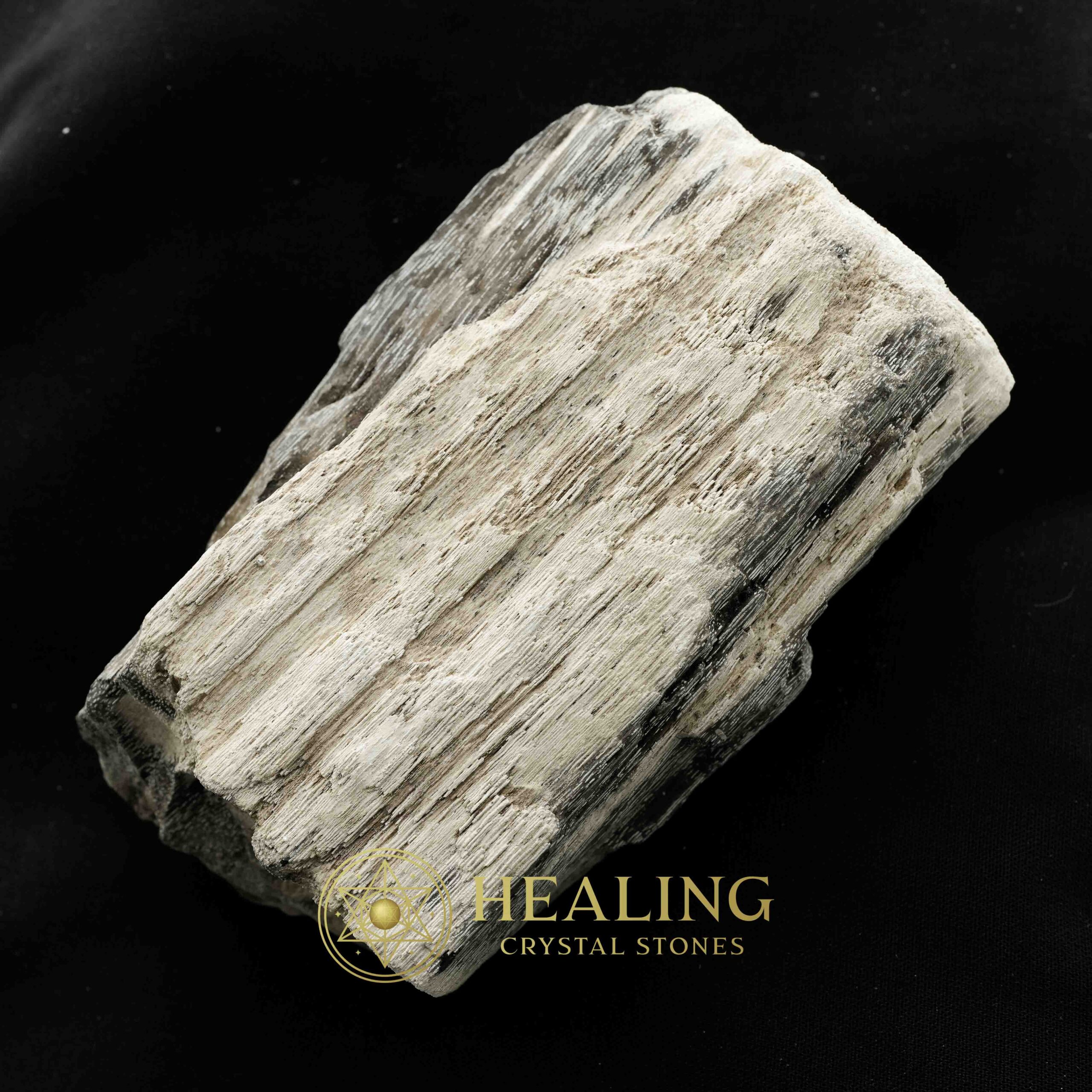 Menang Wood Fossil - Type A4 - Bezoar Stones, Metaphysical Rituals, Spiritual Healing, Psychic Crystals, Mystic Talismans, Ritual Energy, Sacred Totems, Ancient Charms, Healing Power Stones, Magickal Symbols