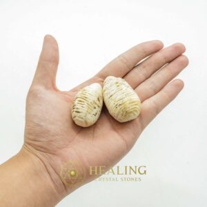 Dablang Buffalo Pearl - Type D1 - Bezoar Stones, Mustika Stones, Amulet Stones, Healing Stones, Ritual Power Stones, Energy Stones, Talisman Crystals, shamanic, occult, magical