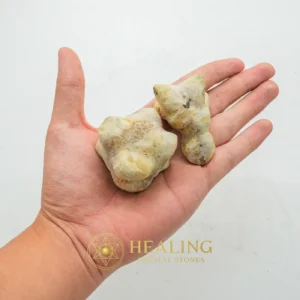 Dablang Buffalo Pearl - Type F1 (Foot Shapes) - Sacred Stones, Sacred Crystals, Divine, Mystical, Enchanted, Relic, Ancient Relic, Mystical Relic, Antique, Rare