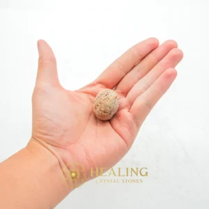 Deer Pearl - Type R1 - Bezoar Stones, Bezoar Crystals, Healing Bezoar Stones, Ancient Relic, Mystical Relic, Occult Artifact, Esoteric Artifact, Rare, Antique, Unique