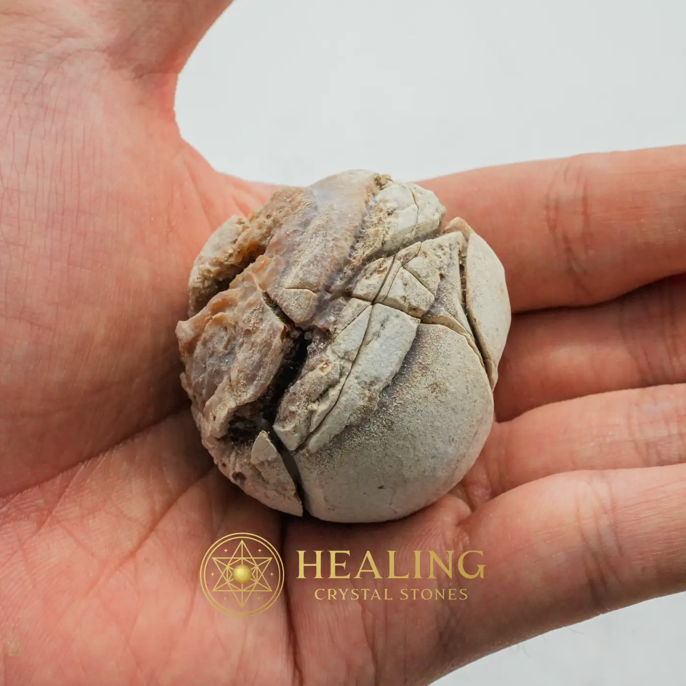 Deer Pearl - Type S2 - Ancient Relic, Mystical Relic, Occult Artifact, Esoteric Artifact, Artifact, Relic, Esoteric Stone, Esoteric Crystal, Metaphysics, Psychic