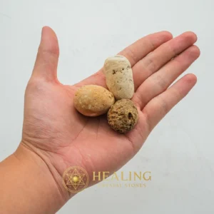 Deer Pearl - Type U1 (Wulung Deer) - Sacred Stones, Sacred Crystals, Sacred, Divine, Relic, Artifact, Ancient Relic, Mystical Relic, Rare, Authentic