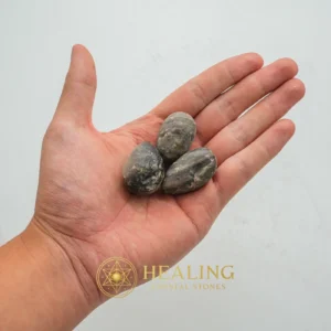 Deer Pearl - Type U3 (Wulung Deer) - Bezoar Stones, Bezoar Crystals, Healing Bezoar Stones, Ancient Relic, Mystical Relic, Artifact, Occult Artifact, Rare, Exotic, Antique